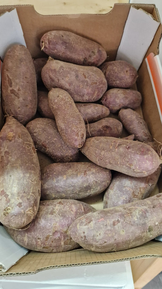 Lila Süßkartoffeln - Mabuhay Pinoy Asia Shop
