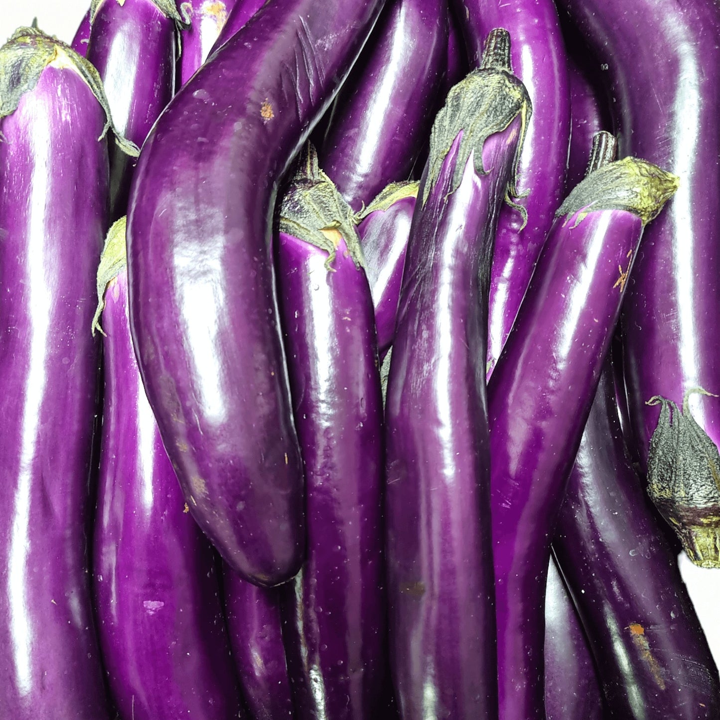 Lila Aubergine - Mabuhay Pinoy Asia Shop