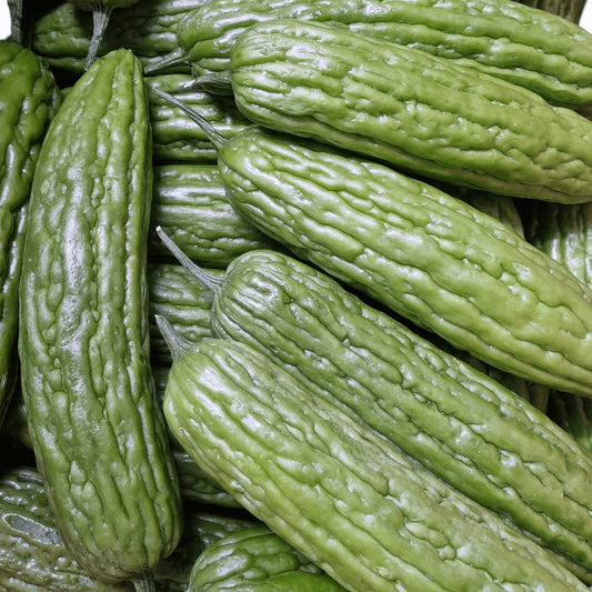 Bittermelone (Ampalaya) - Mabuhay Pinoy Asia Shop