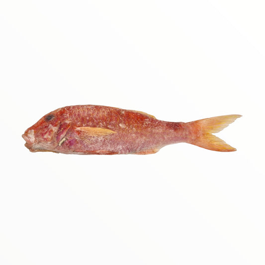 Rotbarsch / Red Mullet 600-800g - Mabuhay Pinoy Asia Shop